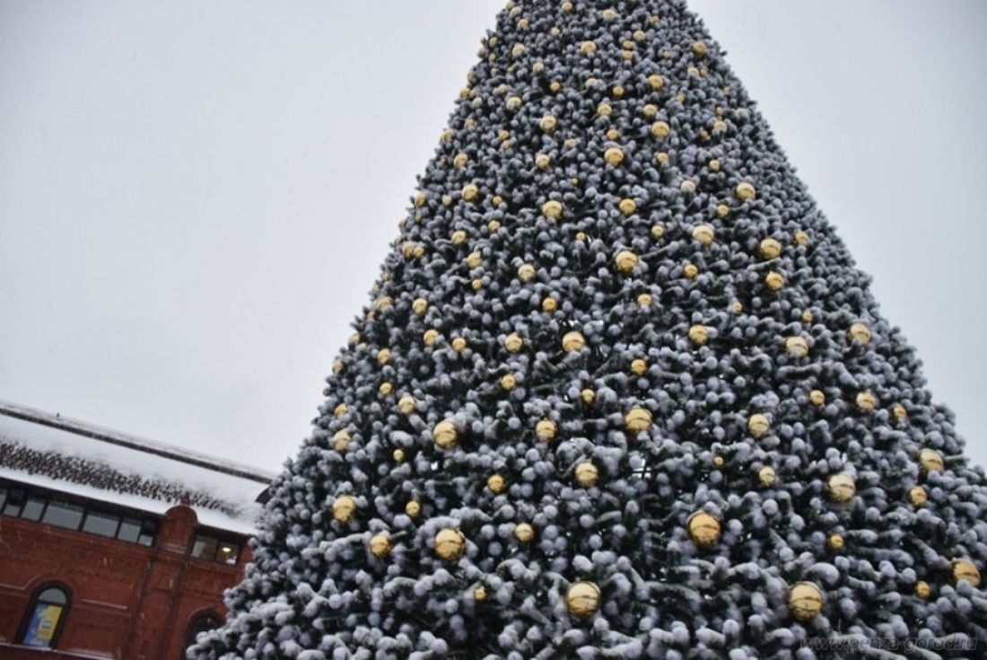 В Пензе на площади Ленина появится дом Деда Мороза
