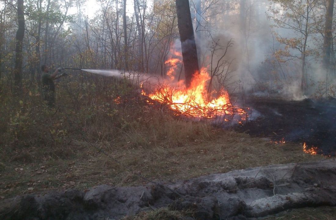 Семь лесных пожаров потушены в Томской области за выходные