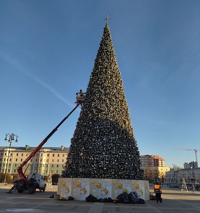 Ели пенза