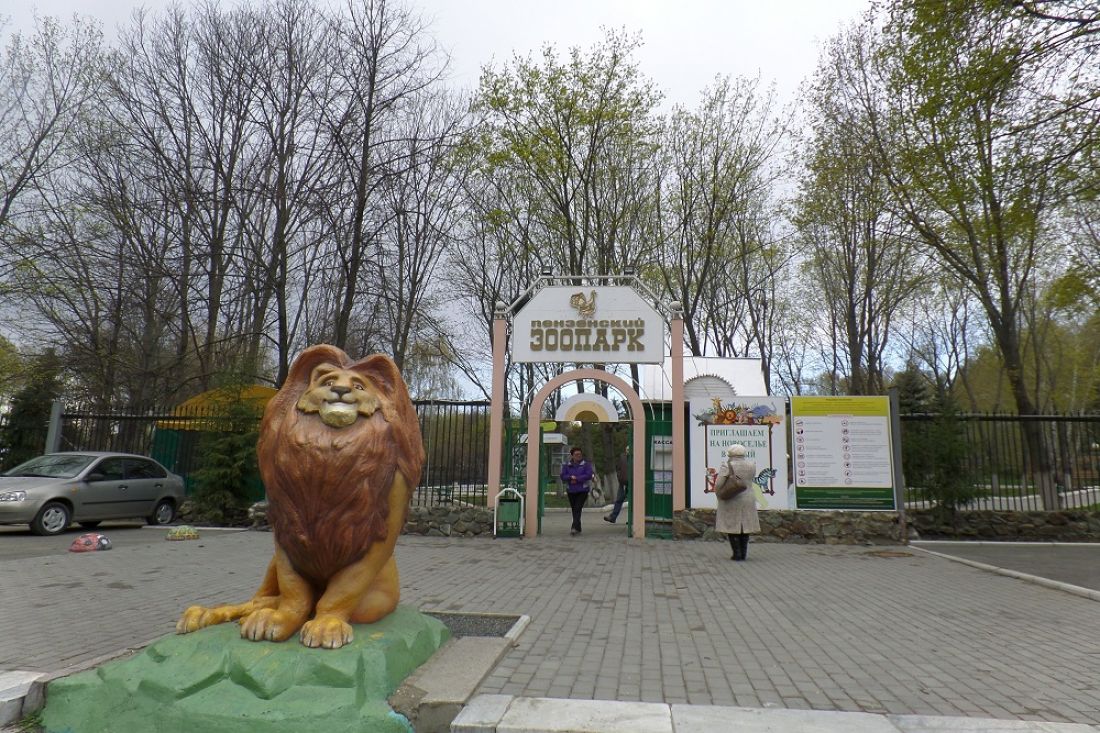 Зоопарк п. Пензенский зоопарк Пенза. Символ Пензенского зоопарка. План Пензенского зоопарка. Пензенский зоопарк фото.