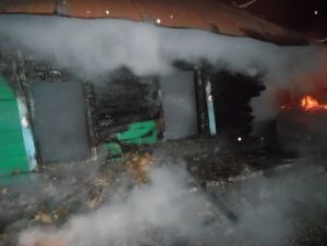 Девять человек тушили деревянный дом в Пензенской области