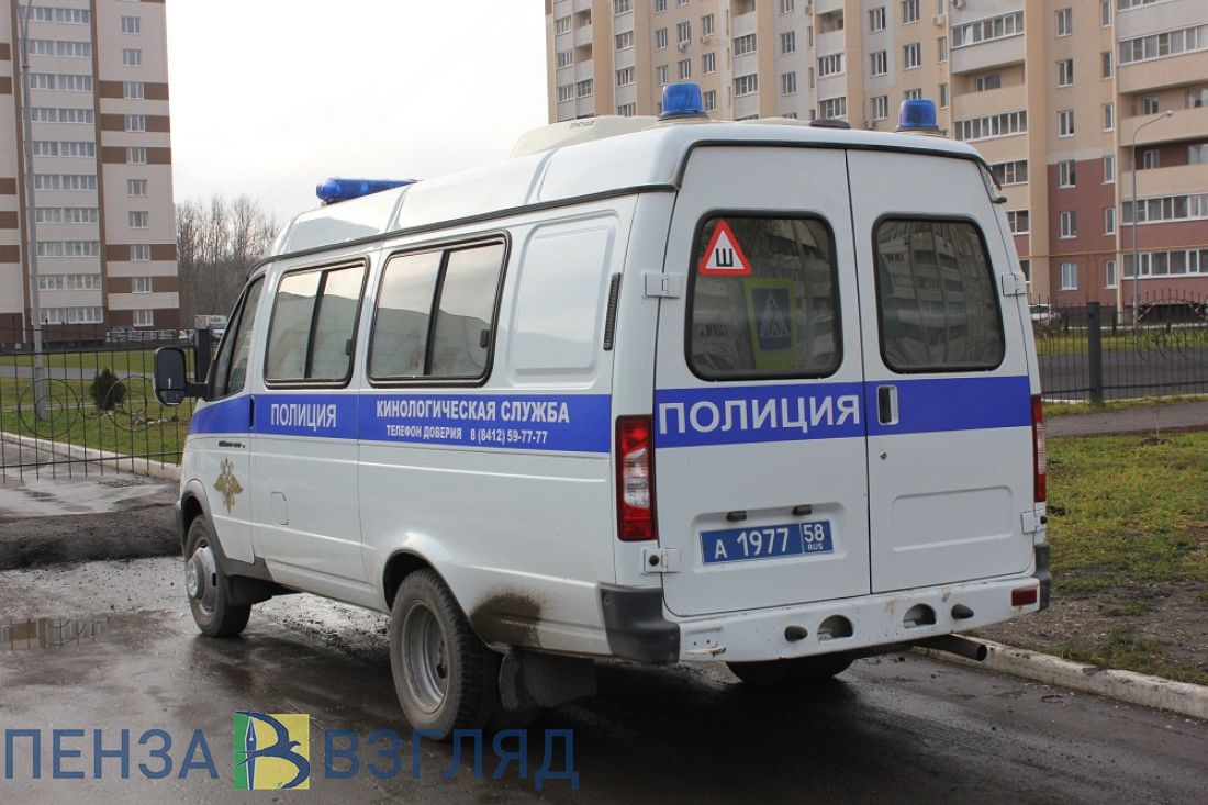 Судимый 18-летний пензенец вновь пошел на преступление