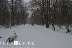 В Пензе три автомобилиста оказались на лыжне