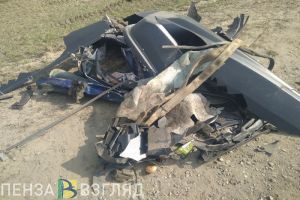 Жуткое ДТП под Пензой унесло жизни пятерых человек