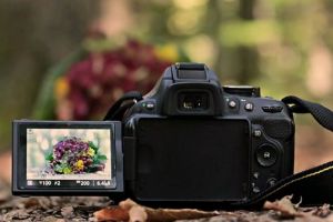 Молодая пензячка заплатила крупную сумму за несуществующий фотоаппарат
