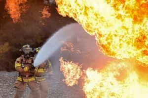 Установлена личность мужчины, погибшего при пожаре в Пензенской области