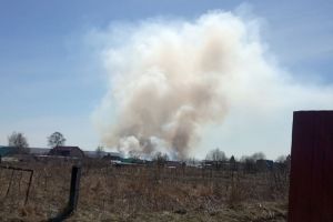 В селе под Пензой вспыхнули пять гектаров травы