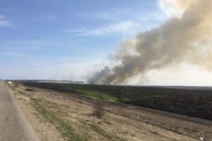 В Пензенской области пожарные-спасатели трижды выезжали на тушение сухой травы