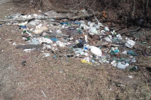 Пензенский минлесхоз выявил несанкционированную свалку в водоохранной зоне Суры