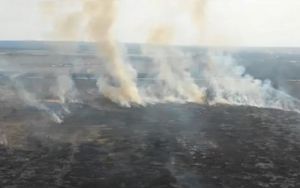 Под Пензой пожарные тушили 10 гектаров сухой травы