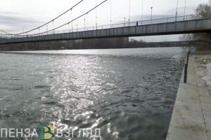 Упала с подвесного моста. В центре Пензы едва не утонула девушка