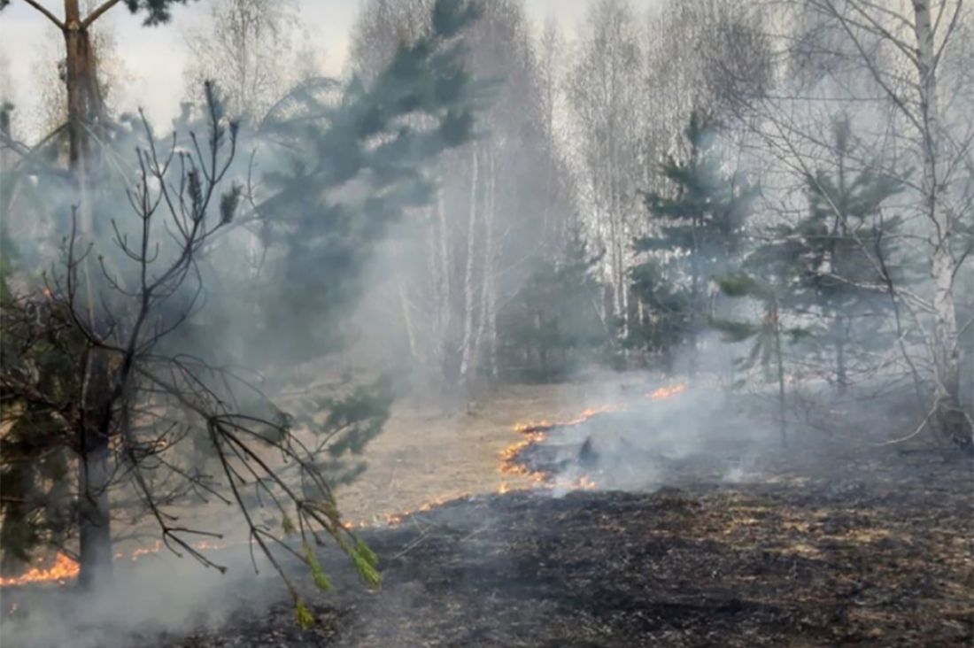 Пензенские пожарные ликвидировали возгорание на территории лагеря «Звездочка»