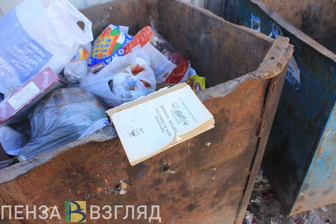«Удовлетворительная с двумя минусами». Пензенский губернатор дал оценку мусорной реформе