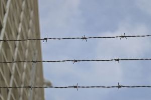 Шесть парней и одна девушка. В Пензенской области получили реальные сроки участники группы наркоторговцев