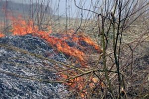 За пять дней в Пензенском районе сгорело более 10 гектаров сухой травы