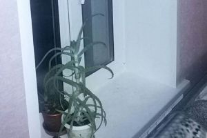 В Пензенской области Следственный комитет выясняет обстоятельства падения ребенка из окна