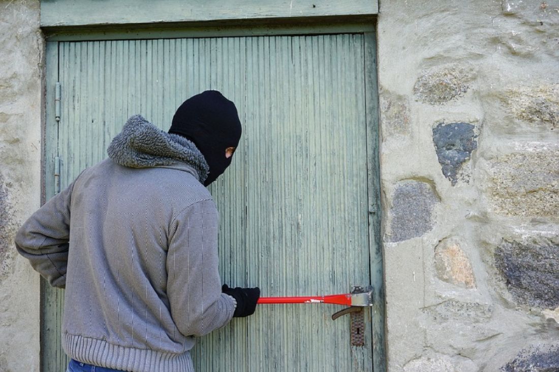 В Пензенской области двое мужчин обчистили ветеринарную лечебницу