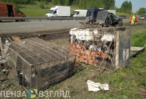 Появилось эксклюзивное видео с места «куриного» ДТП на трассе под Пензой
