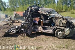 «Куриное ДТП»: на трассе М-5 под Пензой «ГАЗель» влетела в дорожную технику