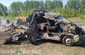 В пензенском УГИБДД сообщили подробности жесткой аварии на трассе М-5, где погибли куры