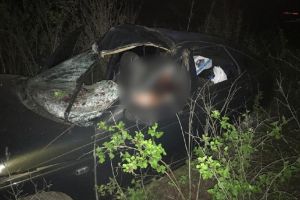 Появились ужасающие фото с места ДТП с лосем, где погиб молодой житель Пензенской области