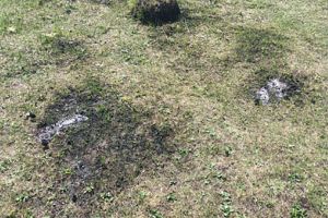 Пензенский Следком публикует снимки с места, где депутат пытался сжечь односельчанина