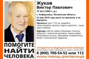 Пропавшего пенсионера из Алферьевки в Пензенской области нашли мертвым