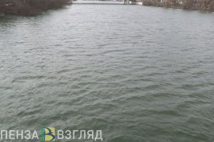Стало известно, где обнаружено тело пропавшего пенсионера из Алферьевки Пензенской области