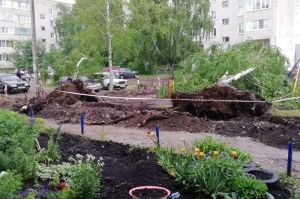В райцентре Пензенской области на автомобили обрушились деревья. Фото