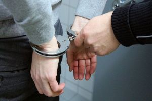 Пензенские полицейские задержали серийного дачного вора