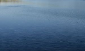 На окраине Пензы в ручье найдено тело мужчины