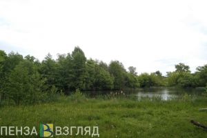 Какая погода ждет пензенцев в ближайшие выходные?