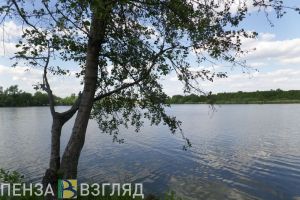 В Белинском районе молодой мужчина едва не утонул в пруду