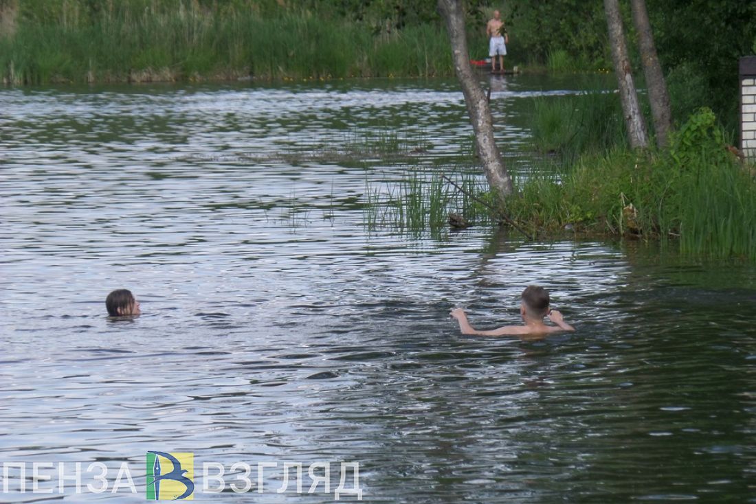 В Пензенском районе отдыхающие пытались спасти тонущего родственника, но не смогли