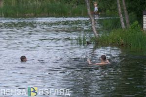 В Пензенском районе отдыхающие пытались спасти тонущего родственника, но не смогли