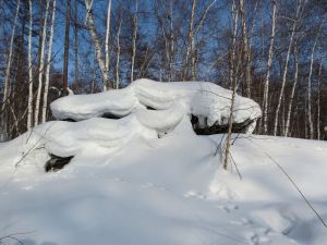 Пензенцы пойдут под суд за то, что реанимировали торчащую в сугробе «шестерку»