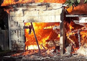 В Сурске сгорели щенята с собакой