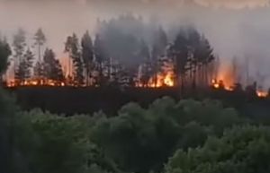 Около Кузнецка в Пензенской области произошел лесной пожар. Видео