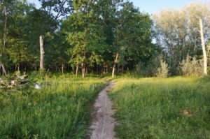 Пензенский Следком публикует приметы мужчины, напавшего на пенсионерку в Сердобске