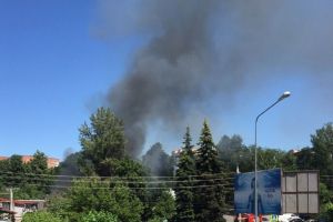 Пензенцев встревожил пожар возле зоопарка. Фото