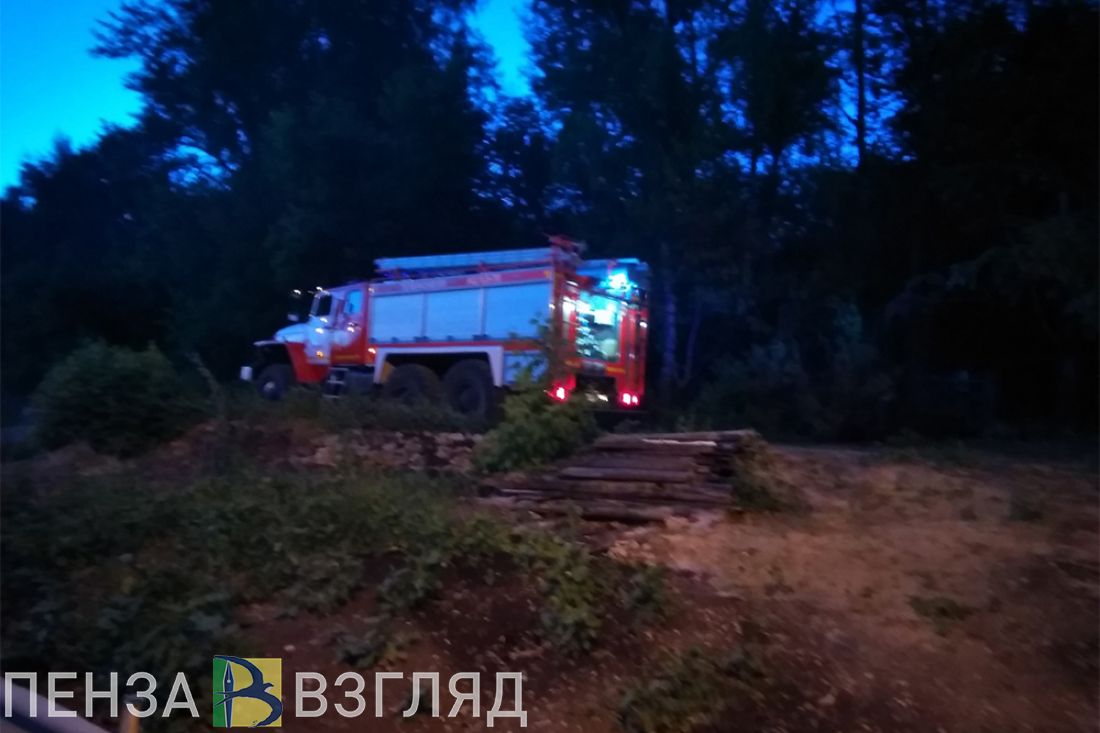 Горящее Митрофановское кладбище в Пензе тушили 26 пожарных