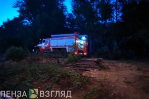 Горящее Митрофановское кладбище в Пензе тушили 26 пожарных
