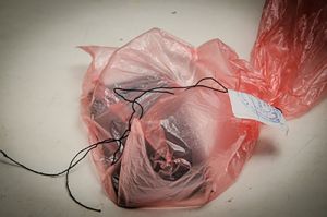 В лесном массиве у жителя Пензенской области нашли пакет с наркотиками