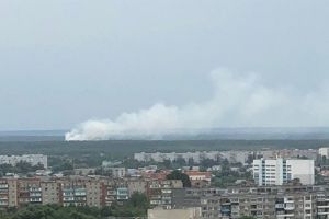 Возле Чемодановки Пензенской области вспыхнул лес