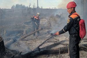 Утром под Пензой в лесном массиве возобновился пожар