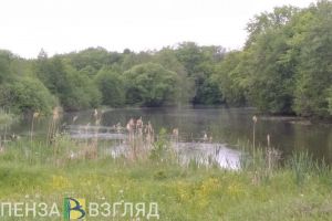 Утонул в день рождения. На пруду в Пензенской области погиб сердобчанин