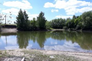 Появились фото пруда в Сердобском районе, где погиб мужчина