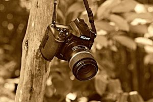 За несуществующий фотоаппарат пензенец заплатил больше 25 тысяч рублей