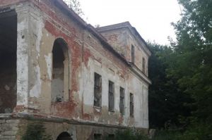 Пензенский Следком публикует фото с места падения ребенка в усадьбе Воейкова
