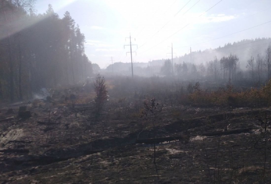Пожар в пензенском поселке Победа тушат уже три дня